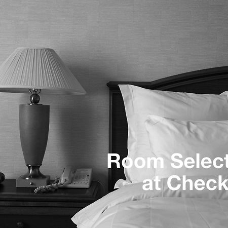 Waters Edge Hotell Tiburon Rom bilde
